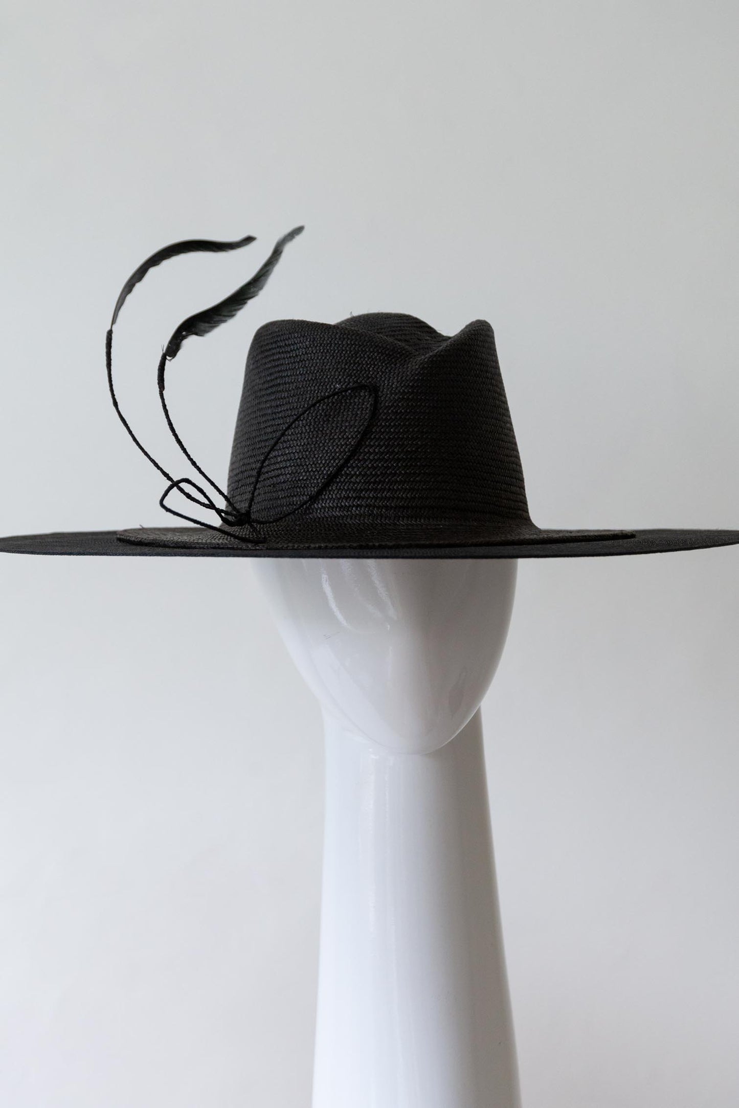 Black Wide Brimmed Fedora